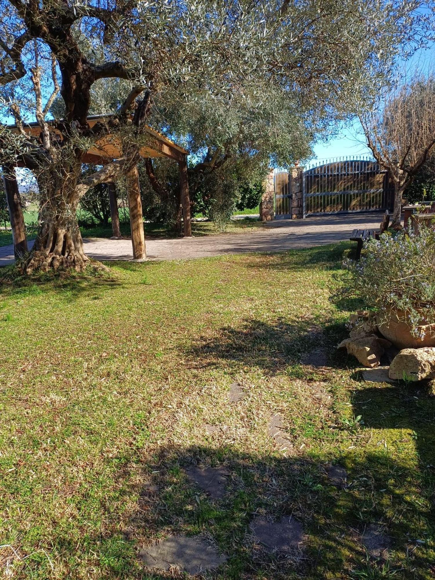 Appartamento Farfollie Pescia Romana Exterior foto